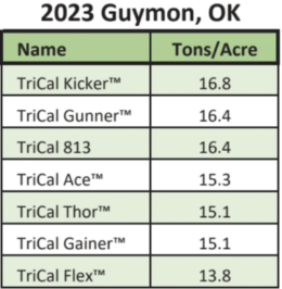 A trial data chart of Kicker triticale performance in Guymon, OK in 2023.